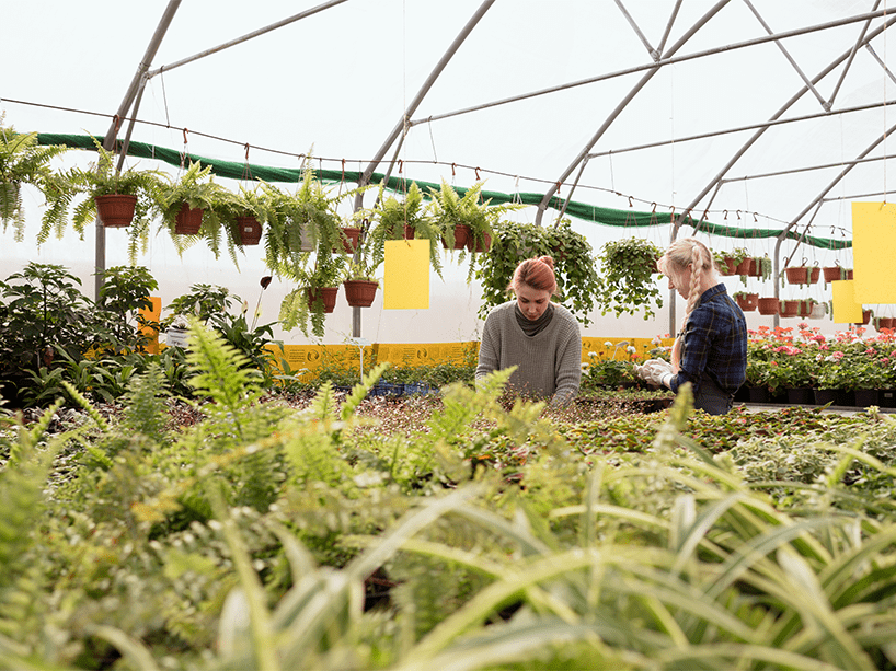 Geothermal Greenhouses-min