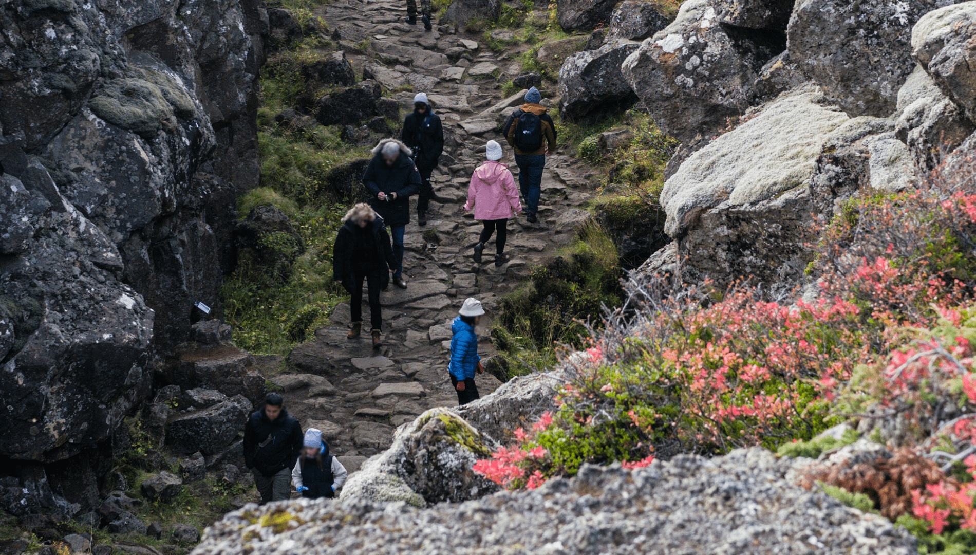 Iceland Science Tour gallery-min