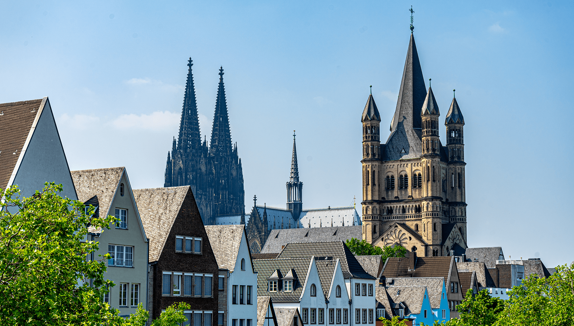 cologne MFL Tour Gallery 1-min